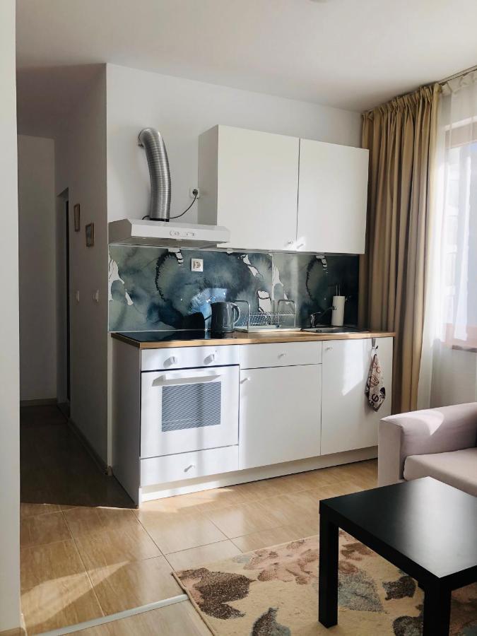 Temerso Studio-Apartment Bansko Eksteriør billede